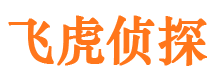 岷县市调查公司